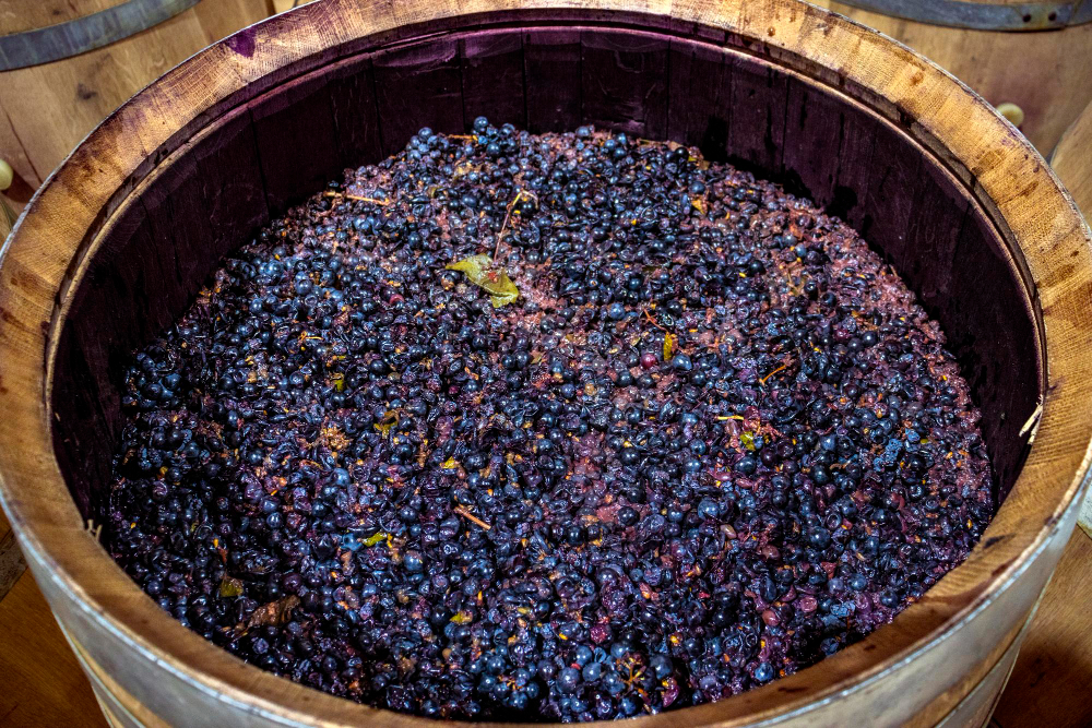De la strugure la sticlă: procesul de vinificație