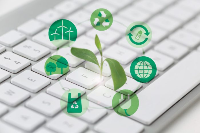ISO 14001 ce înseamnă? Standard pentru managementul de mediu